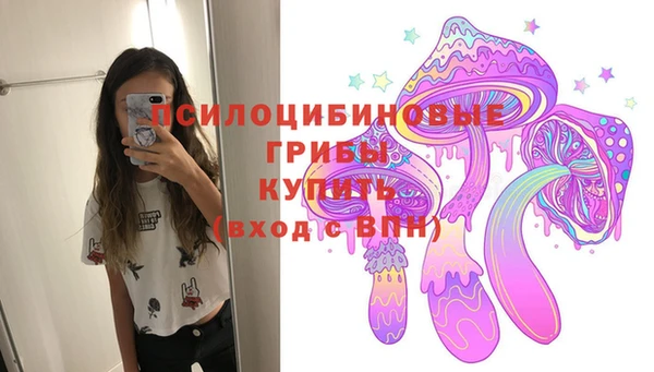 ECSTASY Баксан