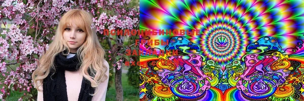 ECSTASY Баксан